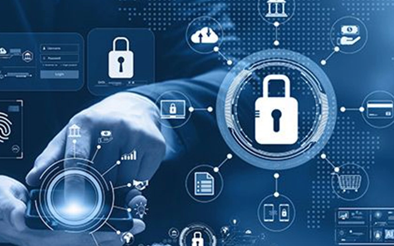 Internal Controls & Audit