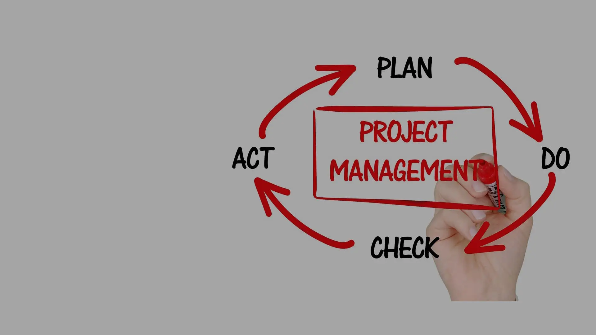 Project Management